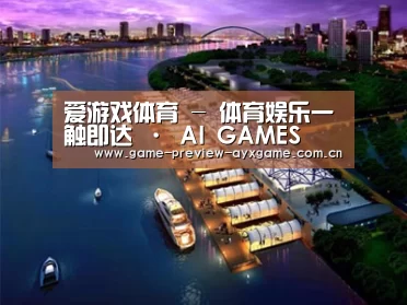 案例展示八