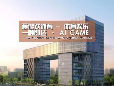 案例展示四