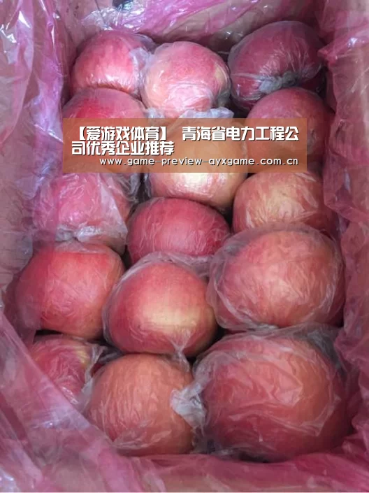 【爱游戏体育】
青海省电力工程公司优秀企业推荐(图3) 爱游戏体育