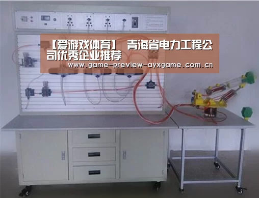 【爱游戏体育】
青海省电力工程公司优秀企业推荐(图4) 爱游戏体育官网